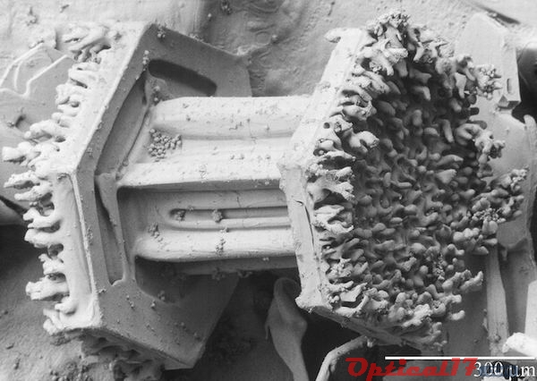 电子显微镜下的雪花结晶
