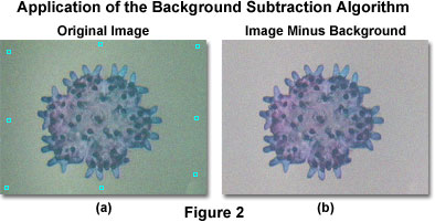 奥林巴斯显微镜，数字图像处理的推荐策略