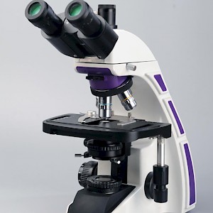 TL3600B科研级三目生物显微镜