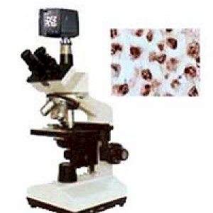 XSP5D 数码型生物显微镜