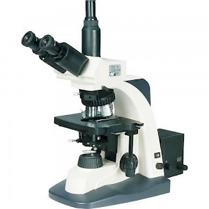 BM-SG10三目正置生物显微镜