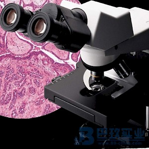 CX31-12C04双目生物显微镜