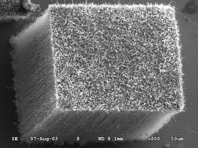 透析法制备纳米胶束，为什么合成的粒径不一？