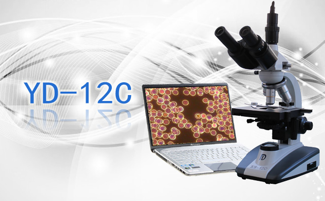 YD-12C一滴血检测分析系统