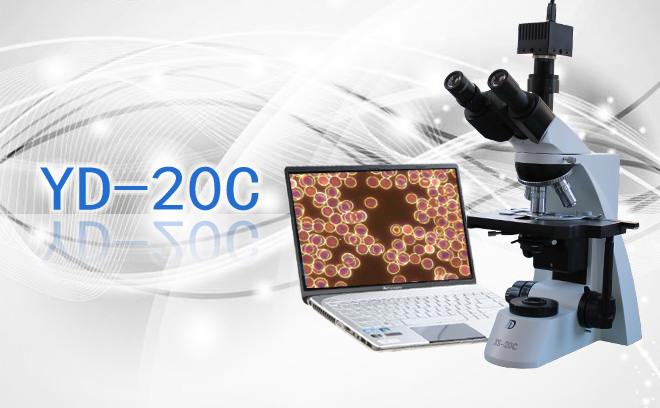 YD-20C一滴血检测分析系统