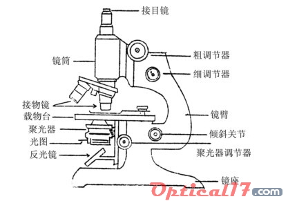 显微镜的构造及各部名称