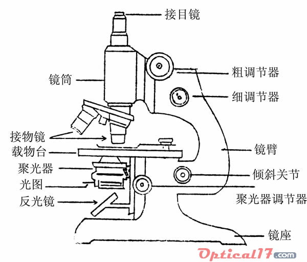 显微镜的构造及各部名称