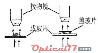 显微镜物镜与载玻片