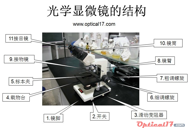 电子显微镜部位名称图片