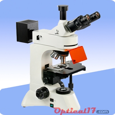 XSP-BM18AY 三目荧光显微镜