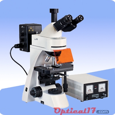 XSP-BM22AY荧光显微镜