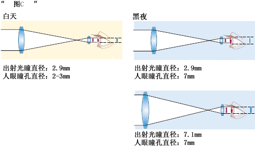 Chart C