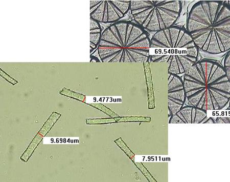 纺织纤维显微测量图