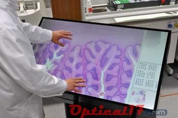 芬兰研发出多点触控大型显示屏显微镜
