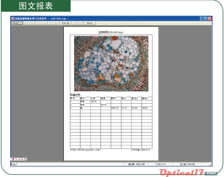 图文报表