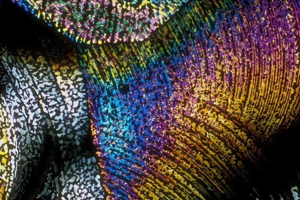 显微镜下的酒精饮料：色彩绚丽展现惊艳之美