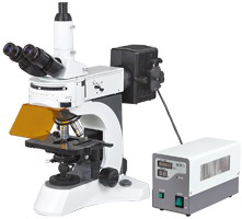 N-800F 实验室正置荧光显微镜