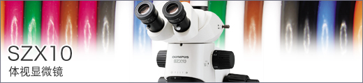 体视显微镜 SZX10