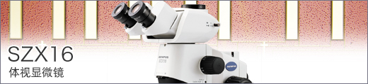 体视显微镜 SZX16