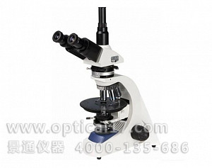 LW300-48LPT透射偏光显微镜