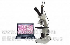 XS-11D单目Y型生物显微镜