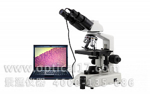XS-13B双目生物显微镜