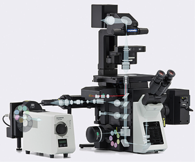 镜观其变，灵动心生：奥林巴斯全新倒置显微镜IX3系列详解