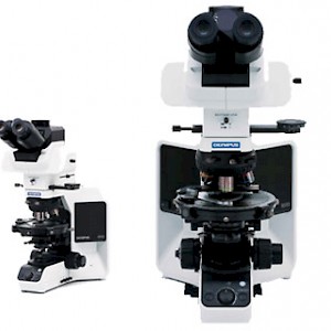 BX53-P奥林巴斯偏光显微镜