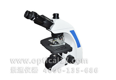 ML31无限远光学系统生物显微镜