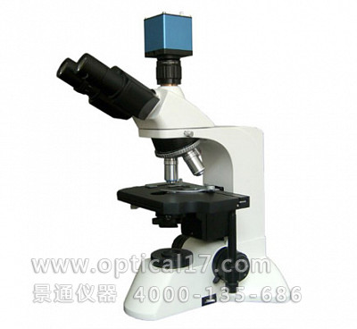 LW300LT无限远光学系统生物显微镜 