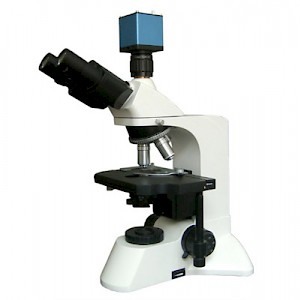 LW300LT无限远光学系统生物显微镜 