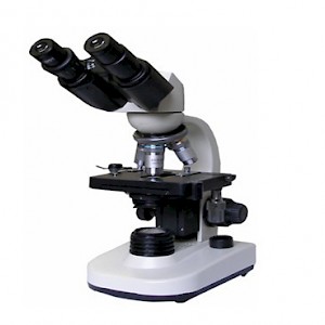 LW40B双目生物显微镜