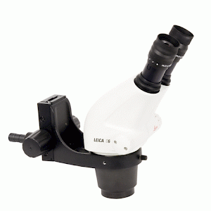 Leica S6立体显微镜
