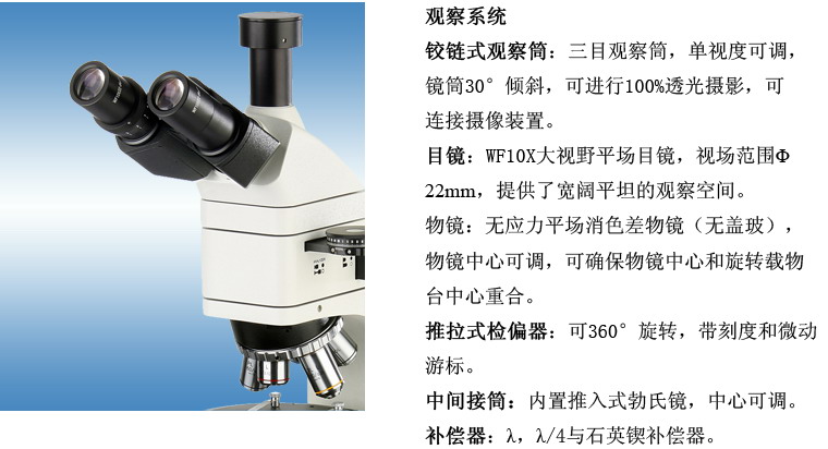 XTL-3230透反射偏光显微镜
