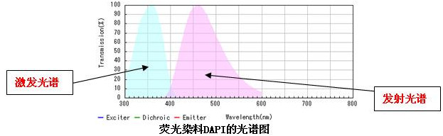 荧光显微镜之荧光激发块的选择