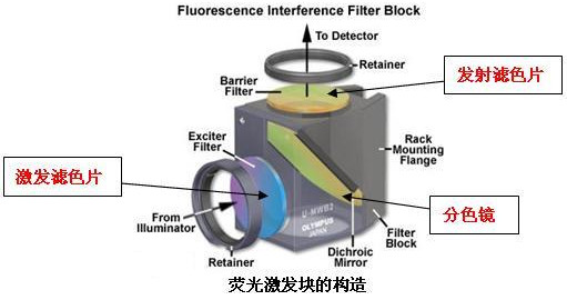 荧光显微镜之荧光激发块的选择