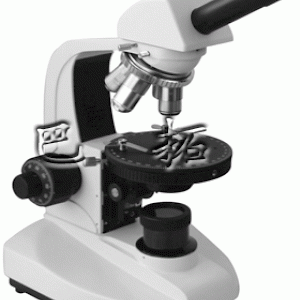 XSP-11-1简易单目偏光显微镜