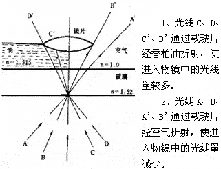 显微镜油镜的使用方法和维护