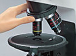 NIKON偏光显微镜 E200POL