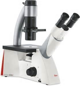 Leica实验室倒置显微镜DMi1