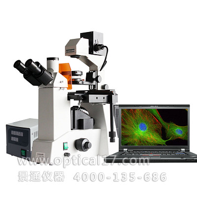 XDS4C电脑型倒置生物显微镜