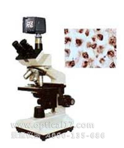XSP5D 数码型生物显微镜