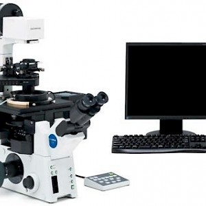 CKX41型奥林巴斯倒置显微镜