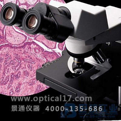 CX31-12C04双目生物显微镜
