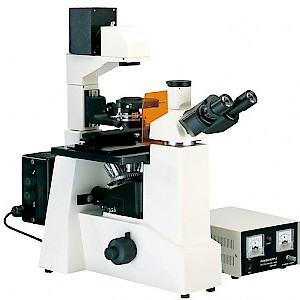 BSF-60系列倒置荧光显微镜