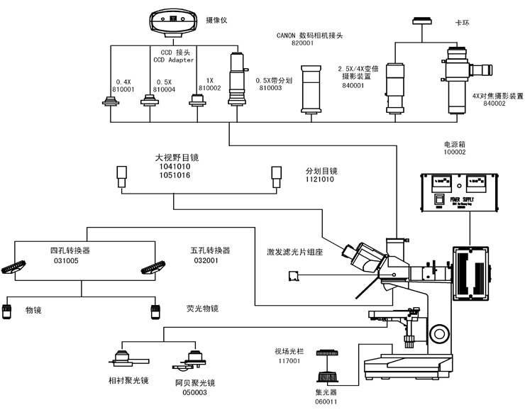 产品类型：落射荧光显微镜产品型号：BSF-40放大倍数：40X~1000X透射光源：6V20W卤素灯，亮度可调落射光源：汞灯100W/DC 产品报价：咨询客服     