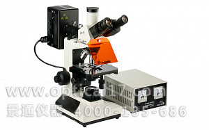 BSF-55 落射荧光显微镜