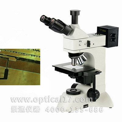 
DIC-950微分干涉相衬显微镜