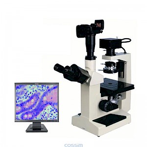 BLD-200Z/XDS-300高档电脑数码型倒置生物显微镜
