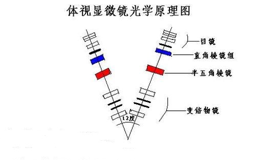 体视显微镜光学原理图